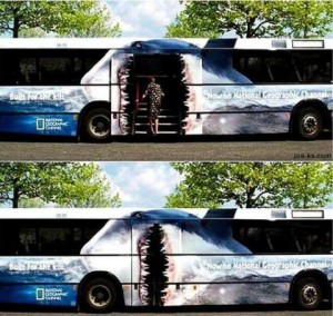 AUTOBUS TIBURON IMPACTODUAL