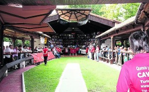 bolos-3